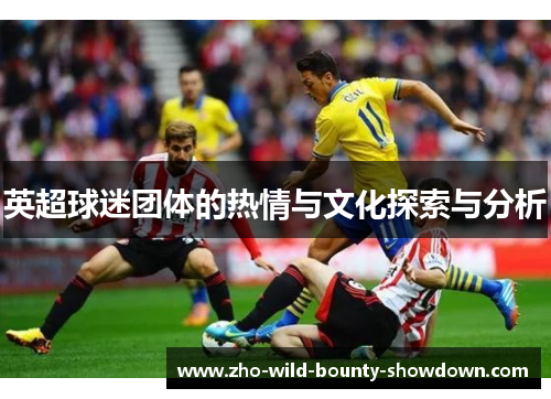 英超球迷团体的热情与文化探索与分析
